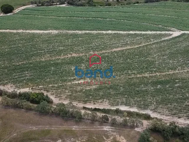 Sítio com 454540m², à venda, no bairro Registro em Porto Feliz