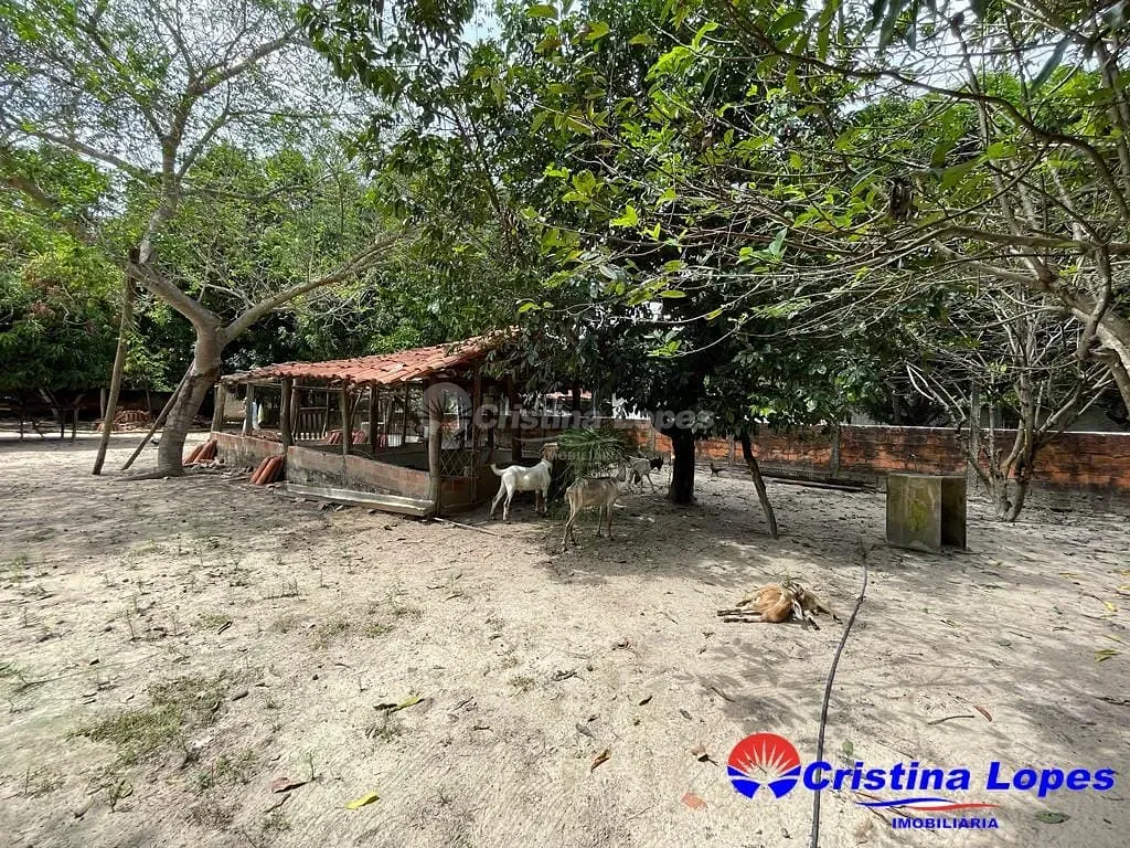 Fazenda, 10 m² - Foto 9