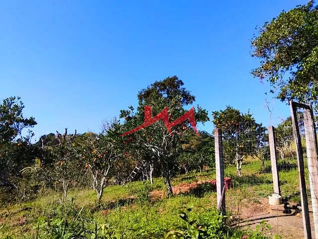 Sítio com 17500m² 5 quartos e 4 banheiros, à venda, no bairro Santa Isabel em São Gonçalo