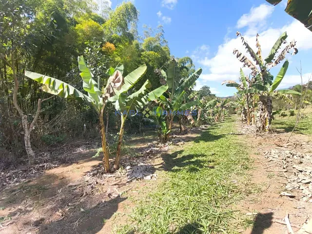 Sítio com 4228m² 2 quartos e 3 banheiros, à venda, no bairro Pedro do Rio em Petrópolis