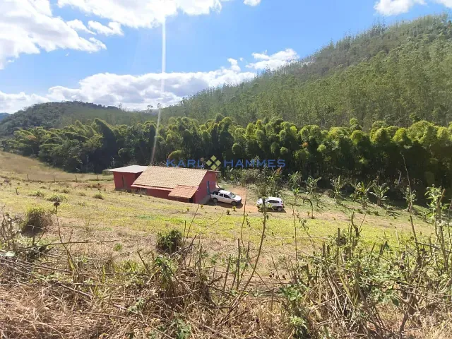 Sítio com 4228m² 2 quartos e 3 banheiros, à venda, no bairro Pedro do Rio em Petrópolis