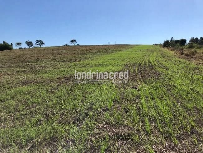 Fazenda, 8 hectares - Foto 4