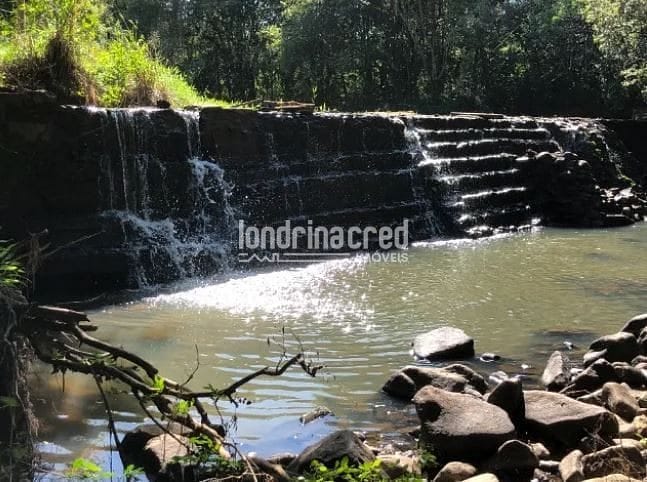 Fazenda, 8 hectares - Foto 5