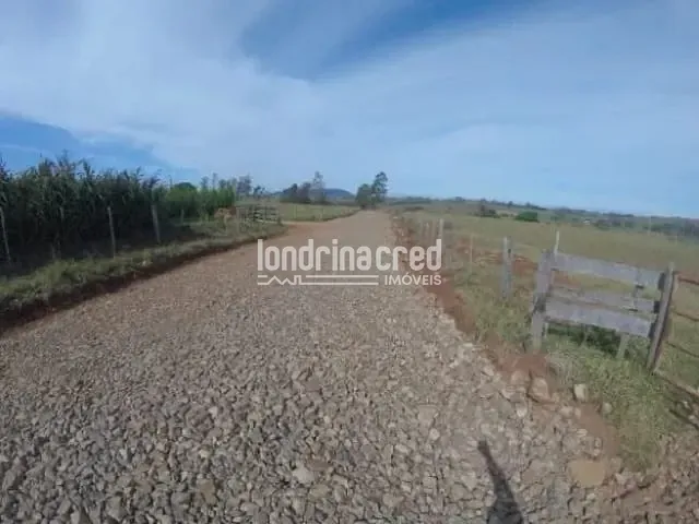 Sítio com 78000m², à venda, no bairro Monte das Oliveiras em Santo Antônio da Platina
