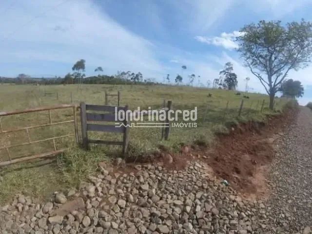 Sítio com 78000m², à venda, no bairro Monte das Oliveiras em Santo Antônio da Platina