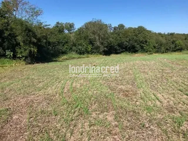 Sítio com 78000m², à venda, no bairro Monte das Oliveiras em Santo Antônio da Platina