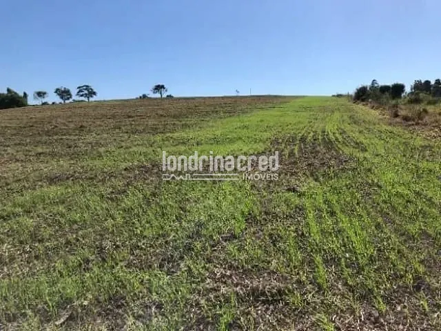 Sítio com 78000m², à venda, no bairro Monte das Oliveiras em Santo Antônio da Platina