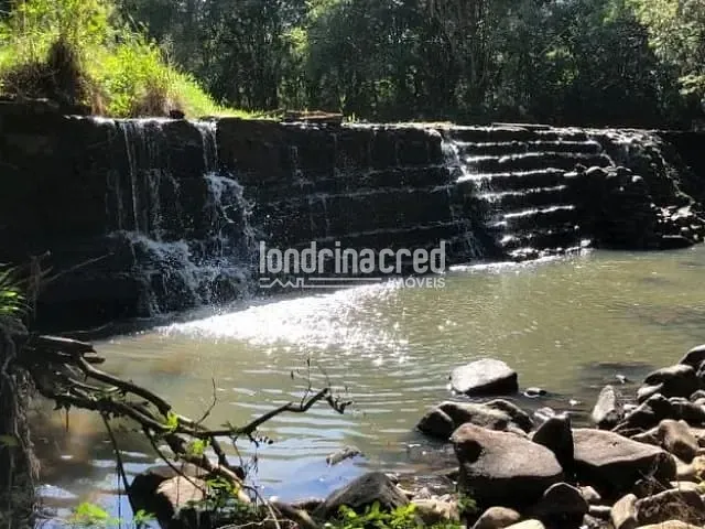 Sítio com 78000m², à venda, no bairro Monte das Oliveiras em Santo Antônio da Platina