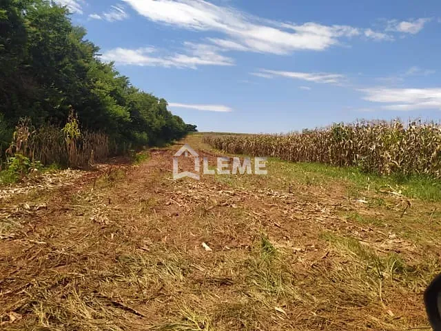 Sítio com 423500m², à venda, no bairro Vila Lambari em Mococa