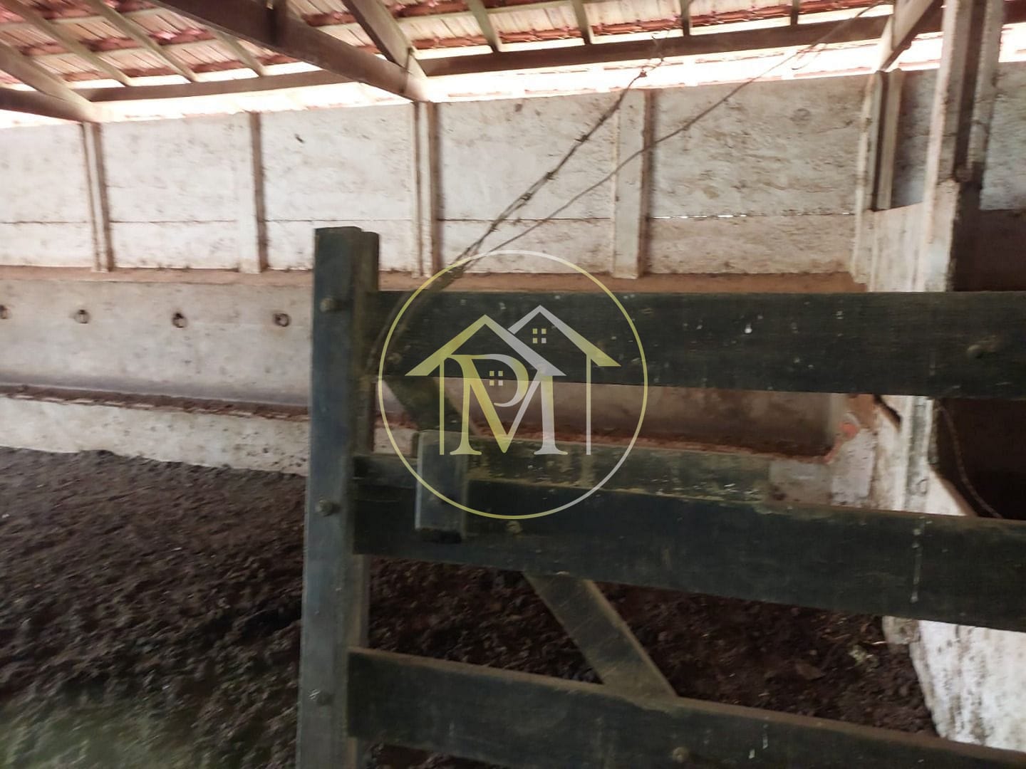 Sítio, 4 quartos, 6 hectares - Foto 28