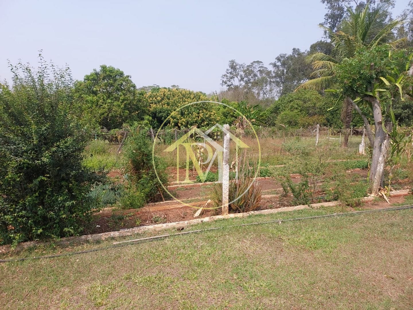 Sítio, 4 quartos, 6 hectares - Foto 37