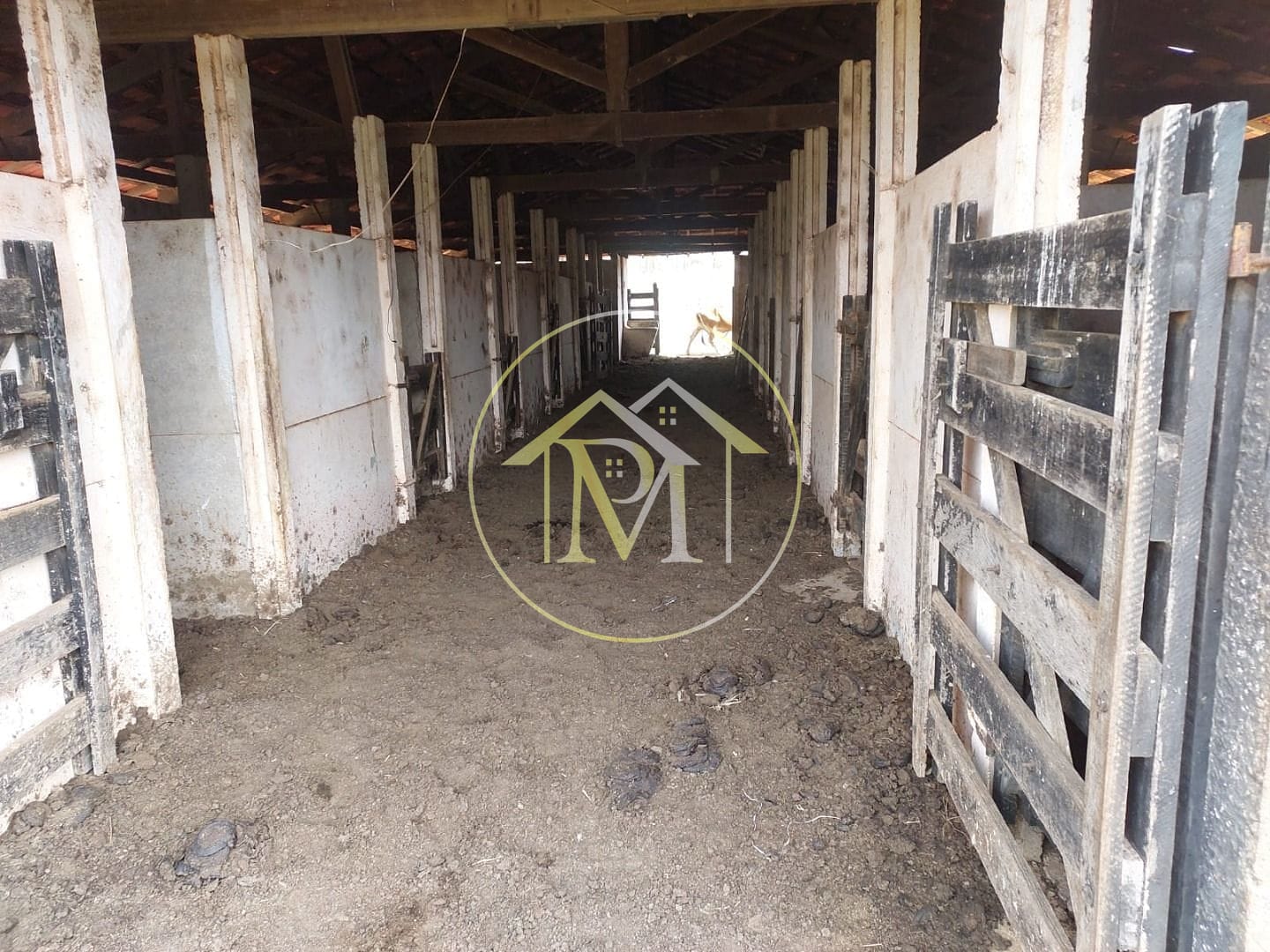 Sítio, 4 quartos, 6 hectares - Foto 29