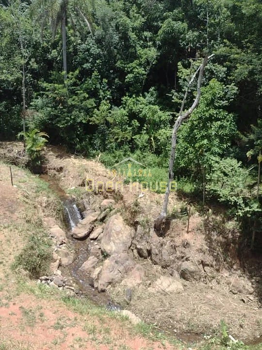 Fazenda, 10 hectares - Foto 18