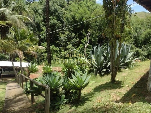 Fazenda, 10 hectares - Foto 14