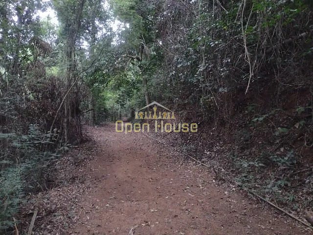 Fazenda, 10 hectares - Foto 19