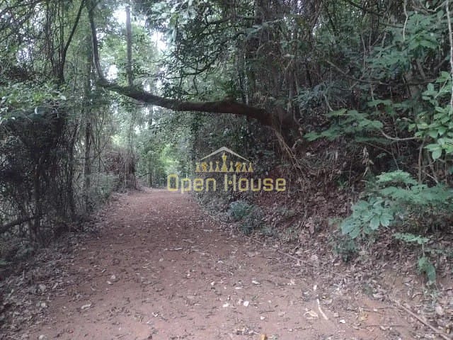 Fazenda, 10 hectares - Foto 20