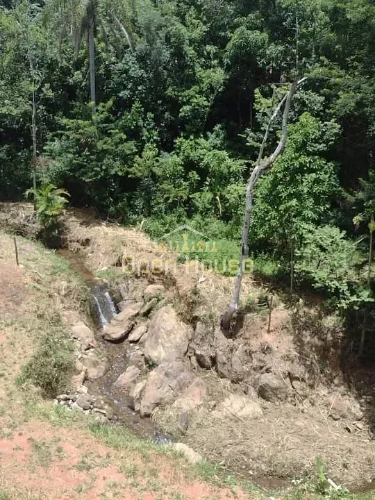 Fazenda, 10 hectares - Foto 18