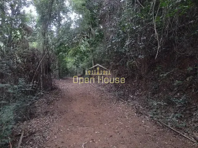 Fazenda, 10 hectares - Foto 19