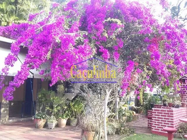 Sítio com 15m², à venda, no bairro Barão em Vassouras