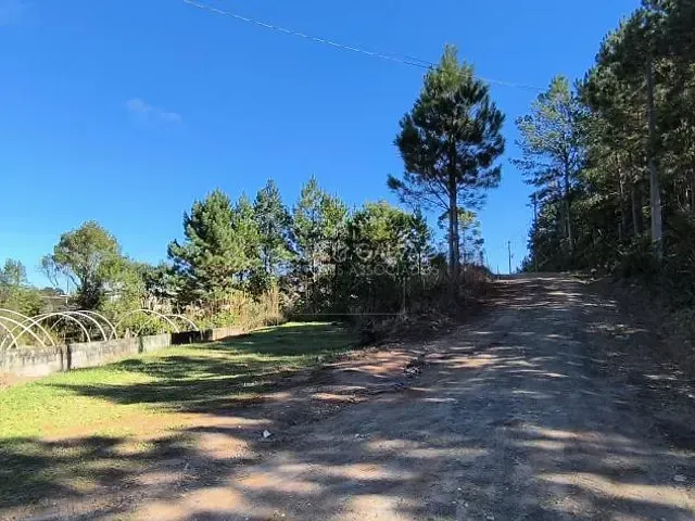 Sítio com 400m² 4 quartos e 2 banheiros, à venda, no bairro Matulão em Tijucas Do Sul