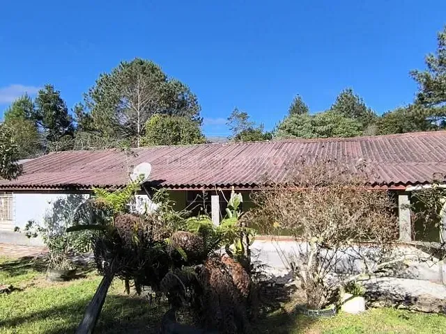 Sítio com 400m² 4 quartos e 2 banheiros, à venda, no bairro Matulão em Tijucas Do Sul
