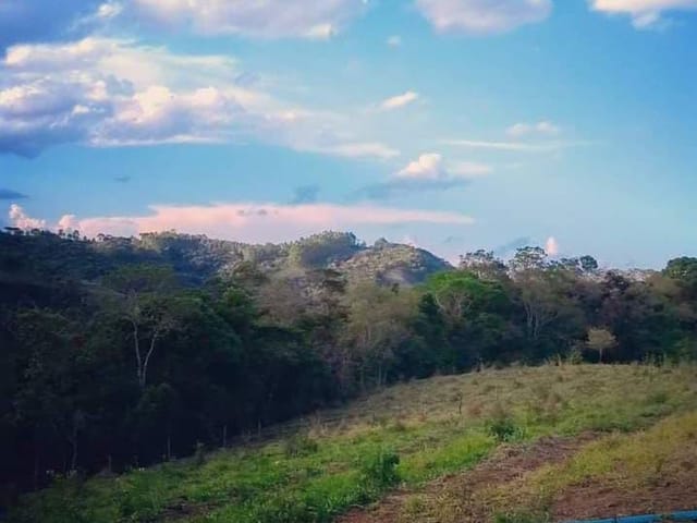 Sítio com 338800m², à venda, no bairro Serra dos Rodrigues  em Cambuí