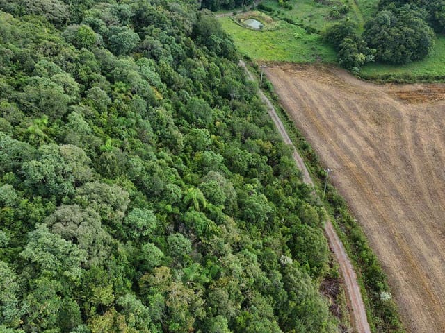 Terreno com 100000m², à venda, no bairro Protásio Alves em Protásio Alves