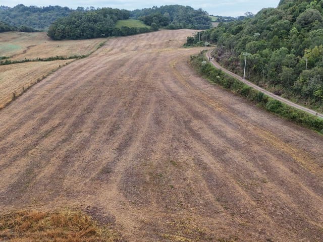 Terreno com 100000m², à venda, no bairro Protásio Alves em Protásio Alves