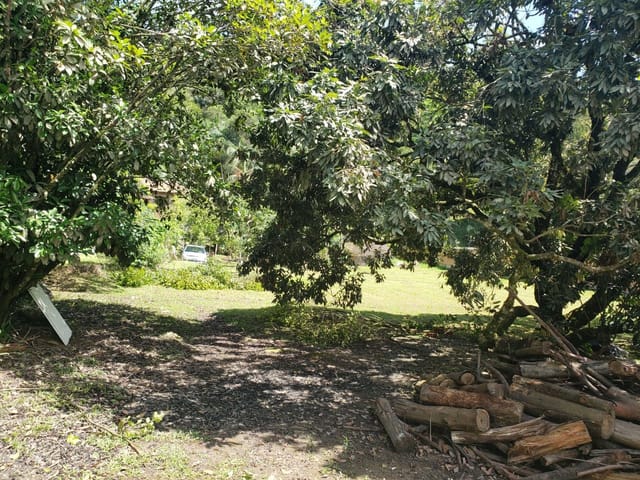 Sítio com 16573m², à venda, no bairro Sertão do Trombudo em Itapema