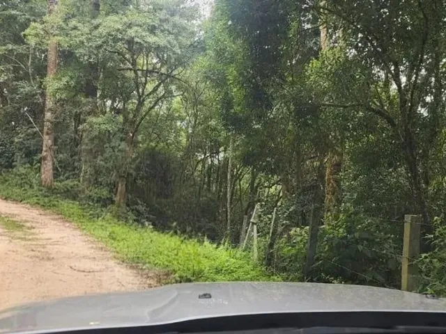 Sítio à venda, no bairro Área Rural de Campo Largo em Campo Largo