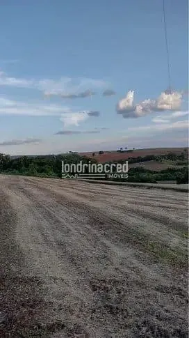 Fazenda, 19 hectares - Foto 3