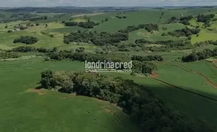 Fazenda, 19 hectares - Foto 6
