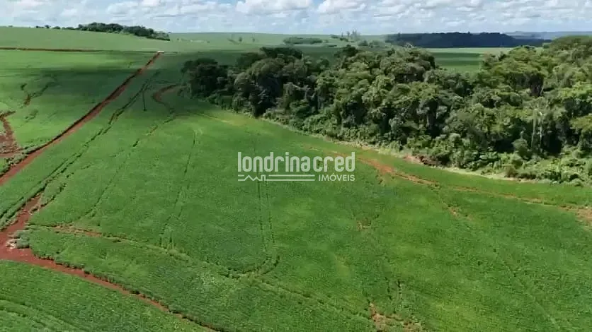 Fazenda, 19 hectares - Foto 7