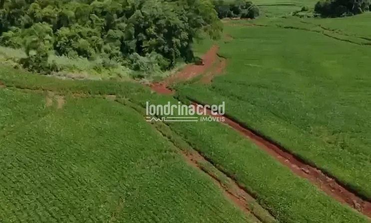 Fazenda, 19 hectares - Foto 13
