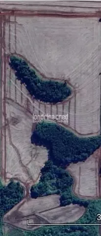 Fazenda, 19 hectares - Foto 9