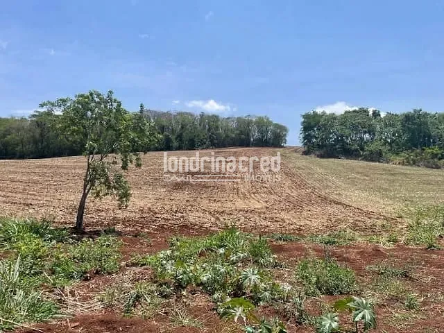 Sítio com 192000m², à venda, no bairro RURAL em Uraí