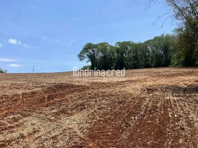 Sítio com 192000m², à venda, no bairro RURAL em Uraí