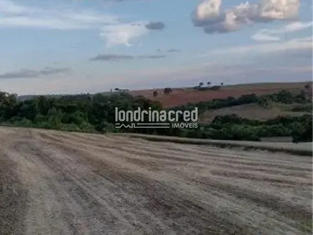 Sítio com 192000m², à venda, no bairro RURAL em Uraí