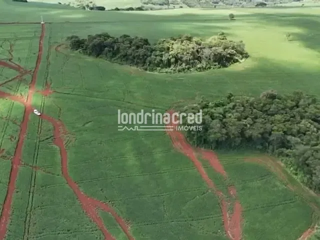 Sítio com 192000m², à venda, no bairro RURAL em Uraí