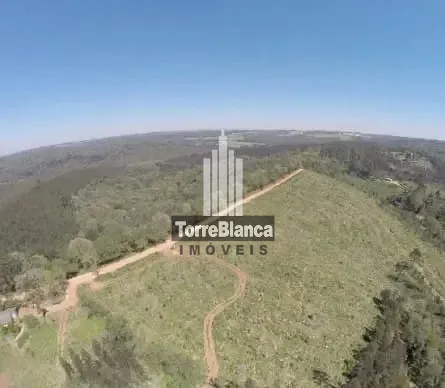 Chácara, 11 hectares - Foto 1