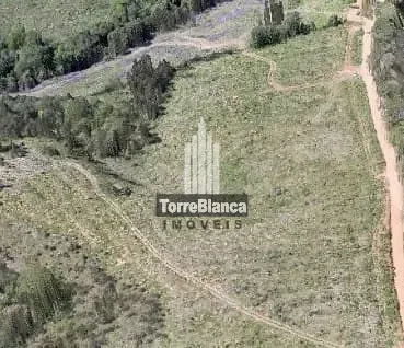 Chácara, 11 hectares - Foto 3
