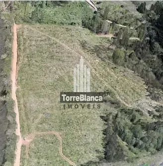 Chácara, 11 hectares - Foto 4