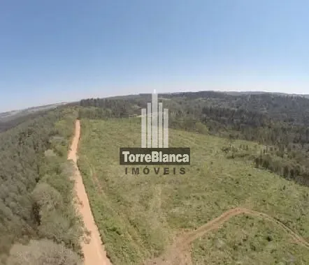 Chácara, 11 hectares - Foto 6