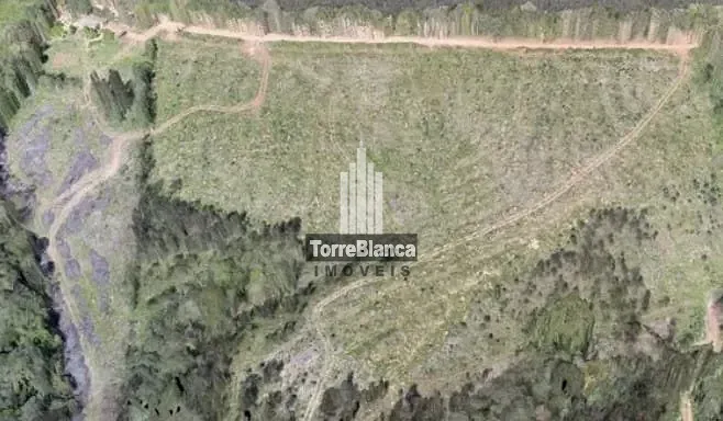 Chácara, 11 hectares - Foto 9
