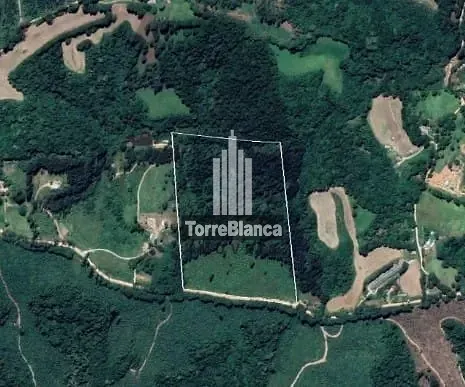 Chácara, 11 hectares - Foto 10