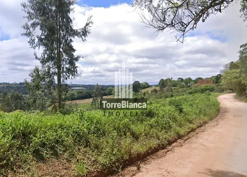 Chácara, 11 hectares - Foto 2