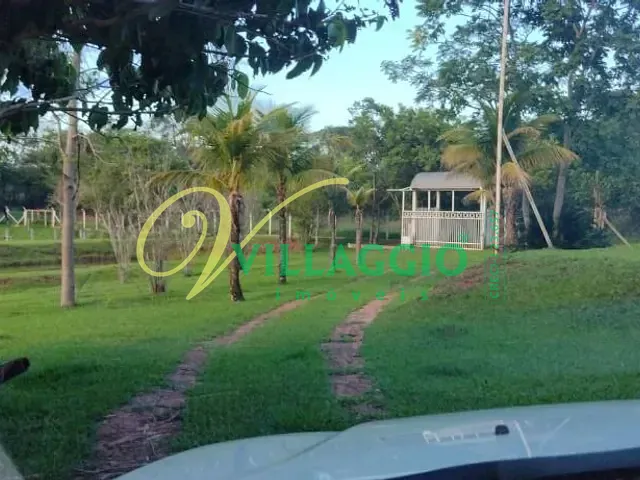Sítio com 36300m² 3 quartos e 2 banheiros, à venda, no bairro Centro em Ipiguá