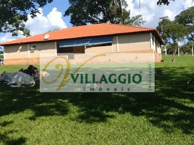 Sítio com 36300m² 3 quartos e 2 banheiros, à venda, no bairro Centro em Ipiguá