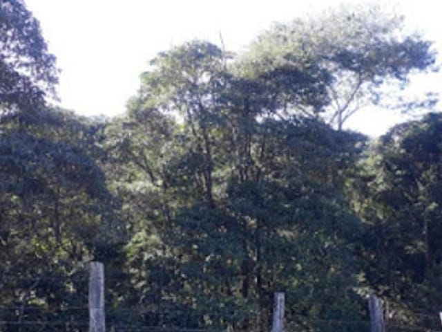 Foto do Sítio - Sítio à venda, 48400 m² por R$ 160.000,00 - Nova Guará - Guaratinguetá/SP | Imobiliária Domos