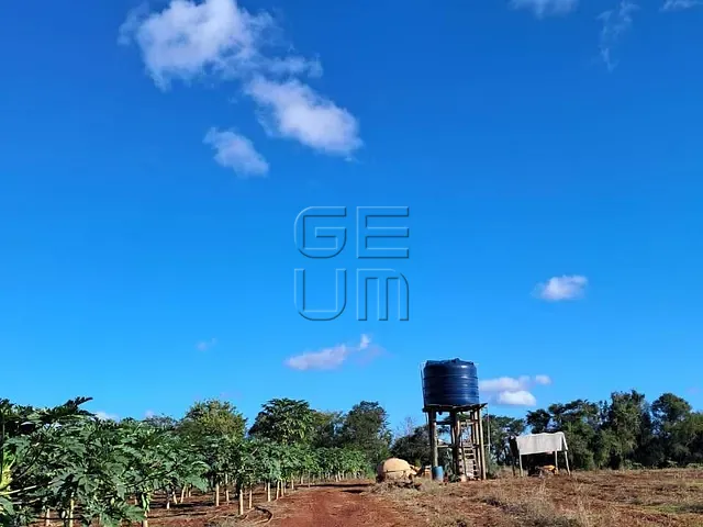 Sítio com 250m² 4 quartos e 4 banheiros, à venda, no bairro Jacutinga em Ibiporã